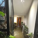 영이발관 이미지