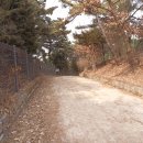 홍릉초교 이미지