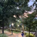 서부문예회관 이미지