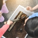 천마리농장 이미지