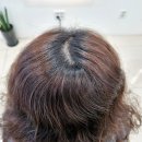 현풍읍 네오텍코리아 앞 | 현풍미용실 노아헤어 뿌리염색후기