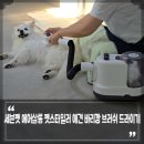 밀크펫살롱 | 강아지 바리깡 브러쉬 드라이기 애견 에어탱크 세븐펫 에어살롱 펫스타일러 털날림 걱정 끝!