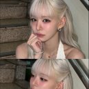이채영 카카오 검색결과