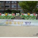 서울대학교사범대학부설초등학교 Daum카페