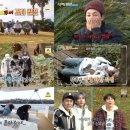 김선호 빠진 '1박2일' 상승세..3개월만에 11% 돌파 이미지