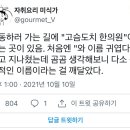 고슴도치한의원 티스토리