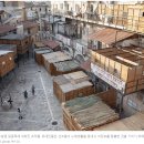 라드릴로