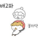 카페리사 이미지