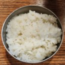 (광주맛집) 쌍촌동 섬진강, 매일 직접 잡아손질해서 끓여내는 신선한 메기탕 빠가탕 쌍촌동에숨은맛집...