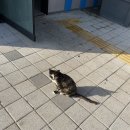 백야선착장 화장실 이미지