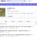 [대구여행] 김광석의 어릴적 향기가 묻어 있는 대구의 방천시장이 베스트가 되었네요. 이미지