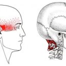 우리들재활의학과의원 이미지