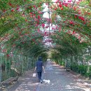 공운삼거리 이미지