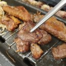 숲과오리다섯번째이야기 이미지