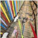 어뮤즈 호텔 이미지