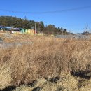 DMZ 평화의 길 31코스 이미지