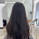 코이헤어 이미지