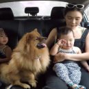 똥강아지 이미지