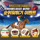 돌콩이네 - 49951 | 돌콩이네