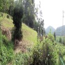 어모문화3길 이미지