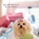 소주하우스 이미지