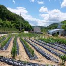 준형농장 이미지