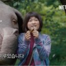 미란코퍼레이션 이미지