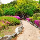 비밀스러운 대통령의 산책길, 청와대~북악산 숲길 이미지