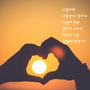 다모아식당