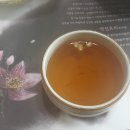 초향정 이미지