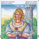 타로로 읽는 하루 이미지