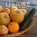 호준농장 | [한음 이벤트] 양평 과즙 팡팡 꿀배 나눔 이벤트! (호준이 장터농장)