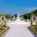 부흥로 버즘나무테마거리 | 경기도 파주 벽초지수목원 완벽 가이드: 입장료, 주차장, 근처 맛집까지!