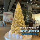 또리마켓 이미지