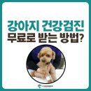 누리동물병원 | 🐶원주 강아지 건강검진 비용과 무료로 받는 방법(누리종합동물병원)