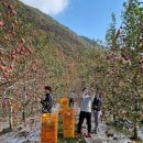 삼국유사면행정복지센터 이미지