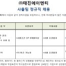 (주)태진에이엔티
