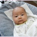 (주)백일