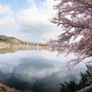 더 머물다 이미지