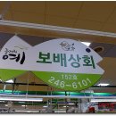 보배상회 이미지