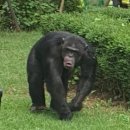 달성공원 동물병원 이미지