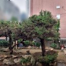 남구-134 이미지