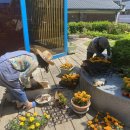 흥부네이야기 이미지