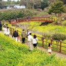 색달동-14 이미지