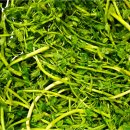 미나리슈퍼 이미지