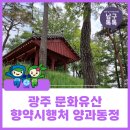 향약 | 광주 남구 가볼만한 곳, 향약의 시행처였던 양과동정
