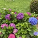 유달산둘레길 이미지