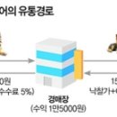 대전애견경매장 이미지
