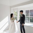 이브로제하우스 수정본 수령 후기/오브라픽쳐스 셀렉 후기(2025.02 촬영)