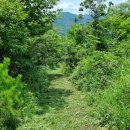 낙원식육점 이미지